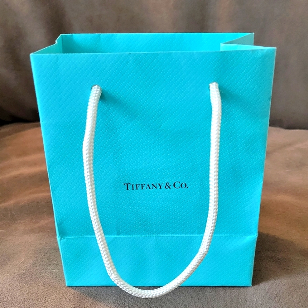 Small Tiffany & Co. Gift Bag